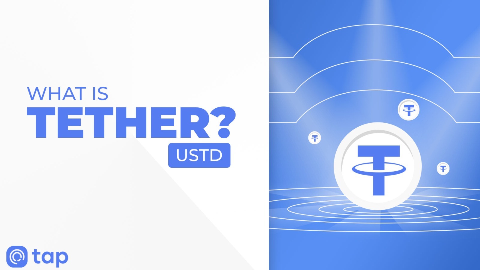 is flash usdt reAl, creat flash usdt, usdt flasher, flash usdt buy, what is flash usdt used for, usdt flash app, flash usdt trust wallet, flash usdt free, flash usdt finance, flashing usdt,usdt flashing, flash usdt India, tether flash, usdt flashpro flash tether, how to make flash usdt, usdt flasher software, how to create flash usdt, usdtflash, usdt flash software, usdt flasher, usdt flashing software, flash usdt software, usdt flash , flash usdt.